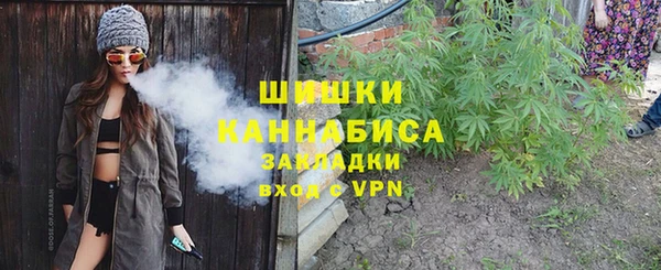 дмт Арсеньев