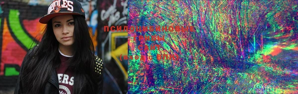 марки lsd Армянск