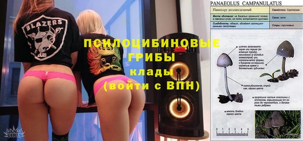 дмт Арсеньев