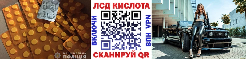 как найти закладки  Приозерск  LSD-25 экстази ecstasy 