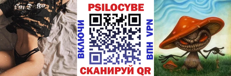 Псилоцибиновые грибы Psilocybe  наркошоп  Приозерск 